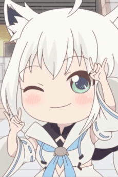 Rebirth: Virtual to no Souguu